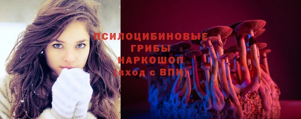 дживик Богородск