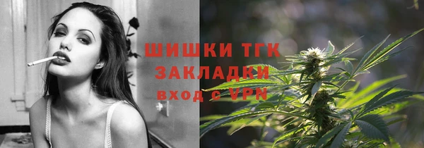 дживик Богородск
