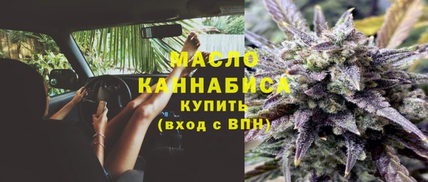 дживик Богородск